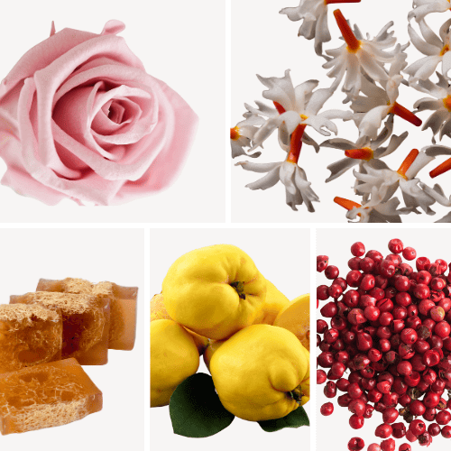 Preview: Duftnoten: Jasmin, Rose, Moschus, Quitte, rosa Pfeffer